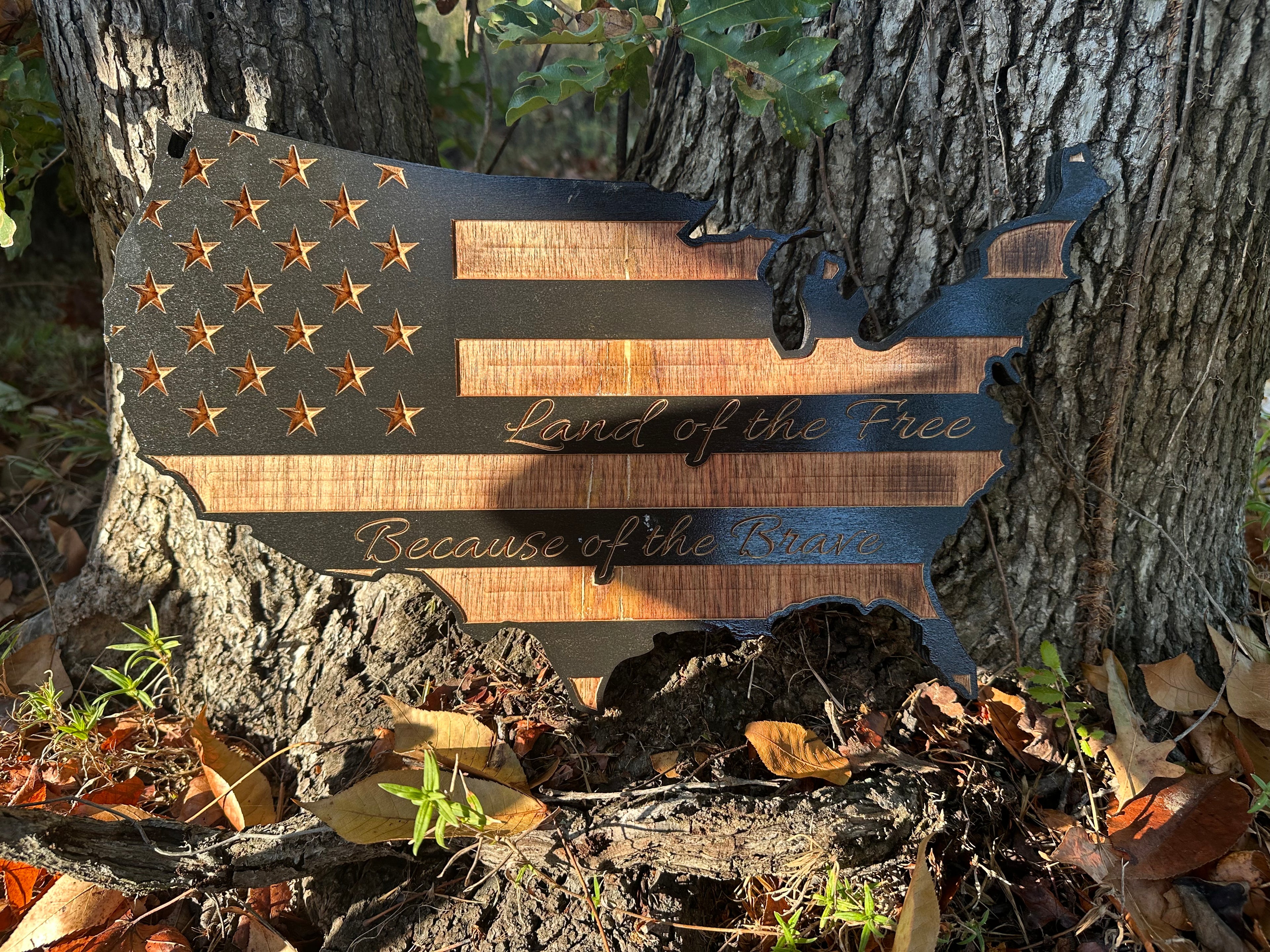 United States of America LOTFBOTB - USA1006